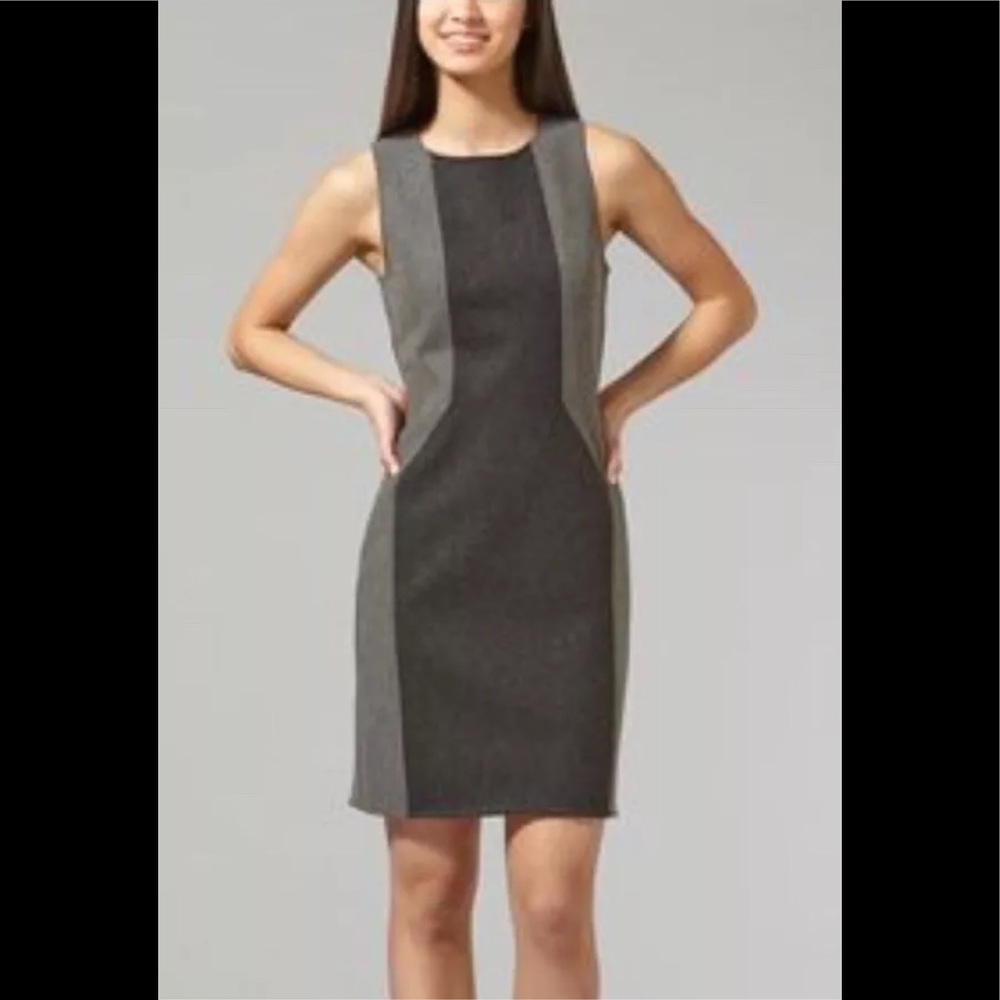 Elizabeth Roberts Sheath Dress